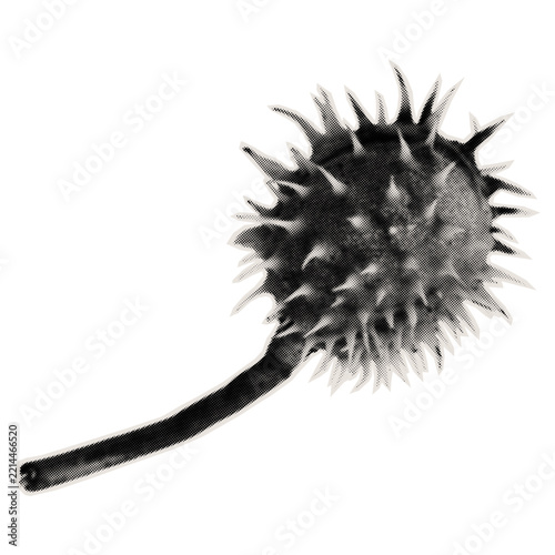 Chestnut sticker for collage design. Image of a spiky plant. Autumn-themed scrapbook decoration. Vector.
