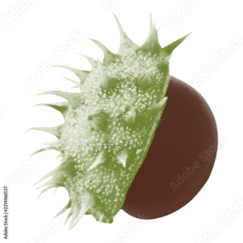 Green chestnut. Spiky plant in a halftone style. For scrapbook decoration.