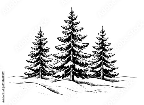 Pine trees standing in snow-covered winter landscape in vintage woodcut style