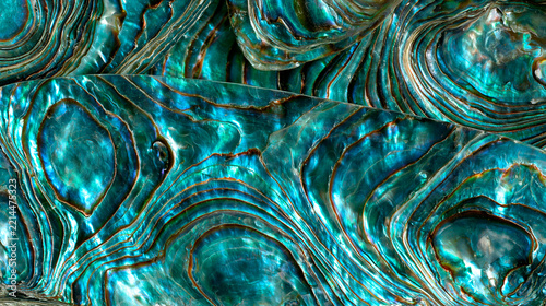 A minimalist three-panel split-screen photo collage, aesthetic style featuring a close-up of a polished abalone shell with iridescent blue and green hues