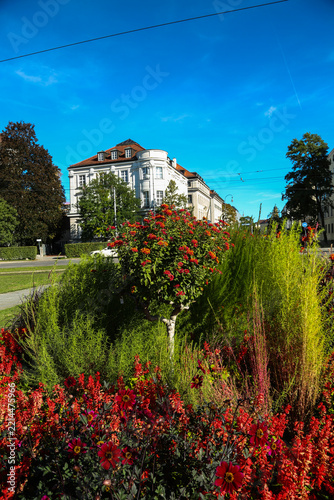 Colorful Autumn Flower Beds at Karolinenplatz in Munich, Germany