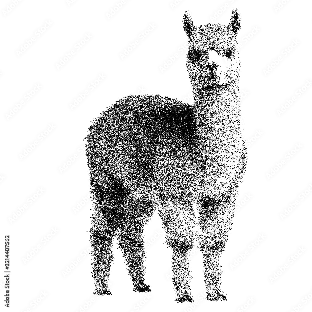 Fototapeta premium Fluffy alpaca standing against white background - transparent background png stipple dotted halftone monochrome dots