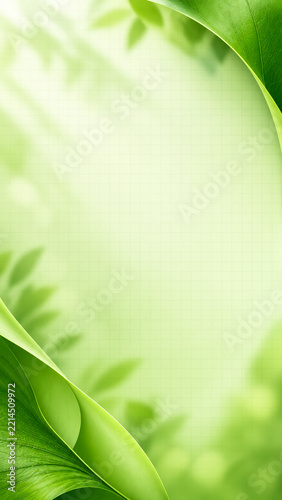 Fresh green leaves frame with soft light and central copy space