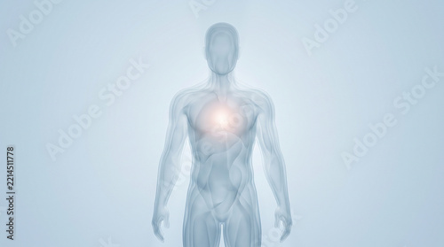 Human silhouette glowing chest anatomy medical figure feeling hopeful calm light heart health isolated ethereal spirit peaceful soul