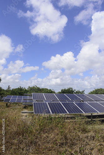 Parque de energia solar fotovoltaica no sertão do brasil, céu azul do meio dia sobre painéis solares