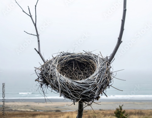 Empty Nest on a Thorny Branch: An abandoned bird's nest sits precariously on a dry, thorny branch, overlooking a desolate beach and the grey, misty ocean.