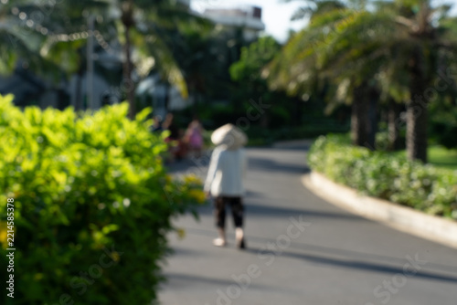 Soft-focus view of a person wearing a traditional Vietnamese conical hat walking along a paved path lined with green bushes and palm trees in a tropical resort garden.
