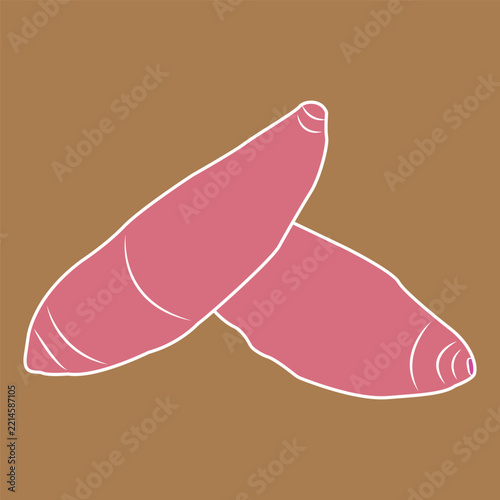 Purple Sweet Potato Flat Vector Illustration on Colored Background