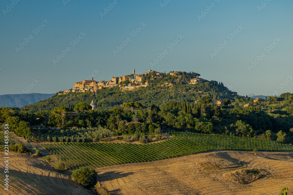 Naklejka premium Montepulciano hilltop town with vineyards in Tuscany, Italy