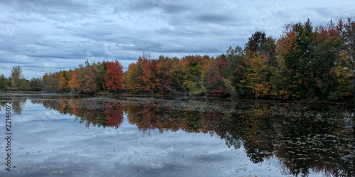 Trees in fall foliage reflecting on a pond