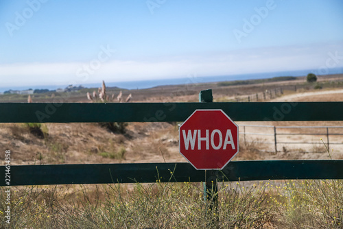 Stop sign that says Whoa