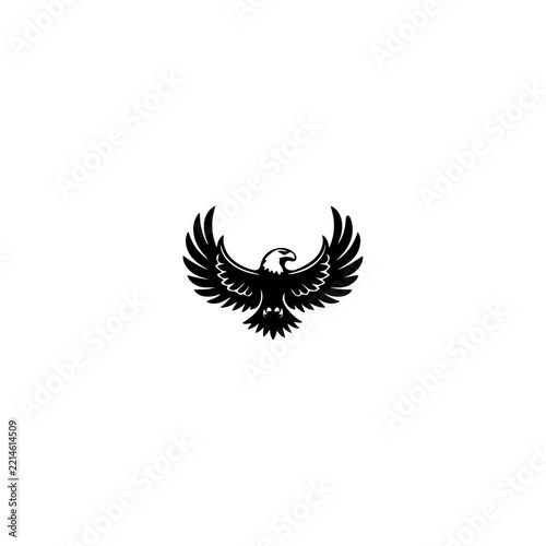 Eagle bird flying in the sky.