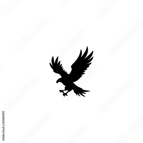 Eagle bird fly in the sky.