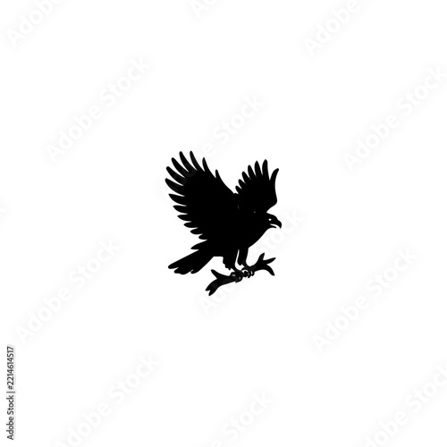 Eagle bird flying on the branch.
