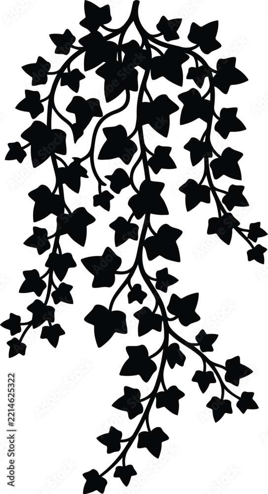 Fototapeta premium Ivy vine silhouette vector. Hanging plant vector icon