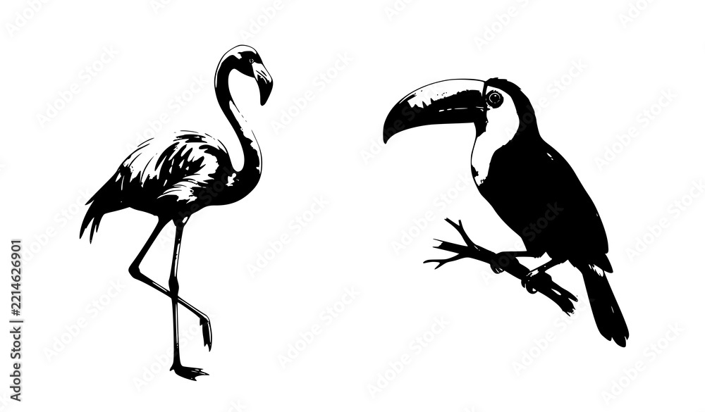 Fototapeta premium Watercolor Pink Flamingo and Tropical Toucan Bird Vector Illustration