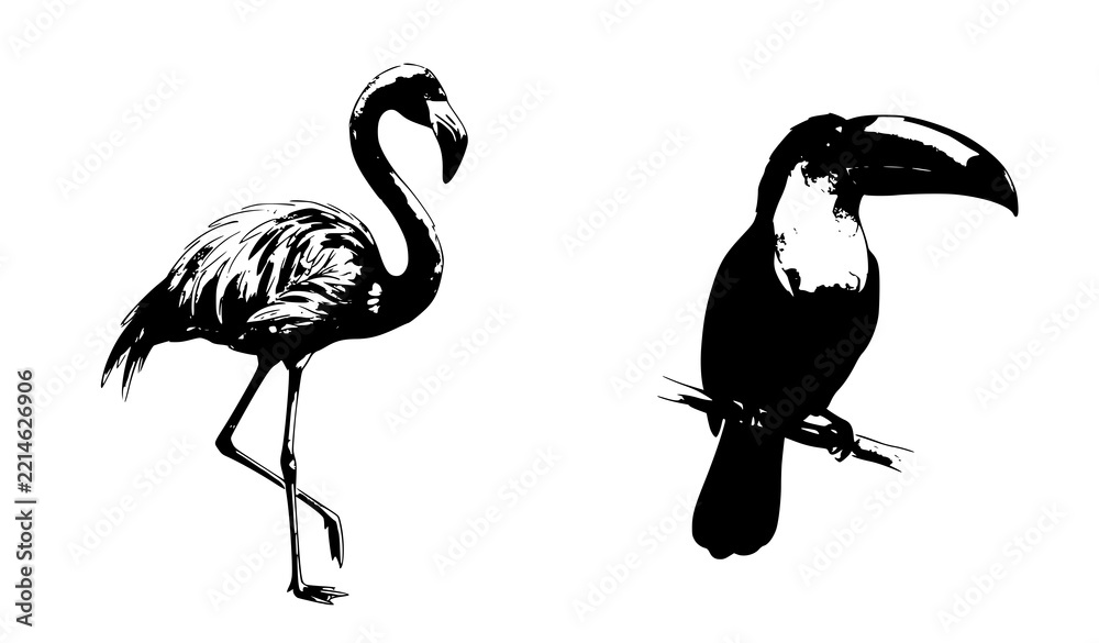 Fototapeta premium Hand Painted Watercolor Flamingo and Toucan Tropical Bird Vector Set