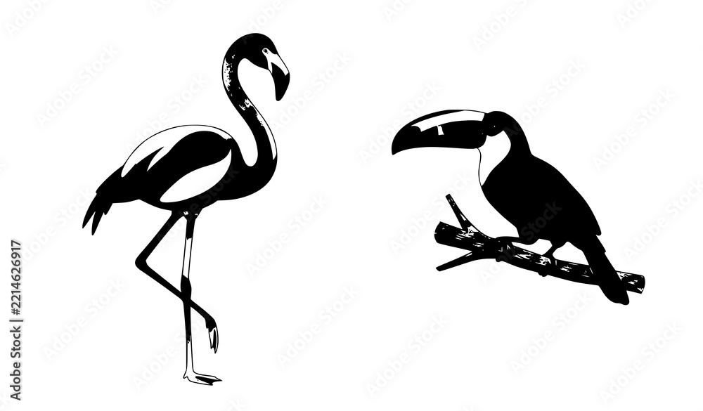 Fototapeta premium Minimal Watercolor Flamingo and Toucan Tropical Birds Vector Artwork