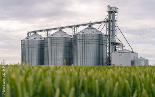 Large agricultural grain storage silos standing beside a green field under an overcast sky outdoors