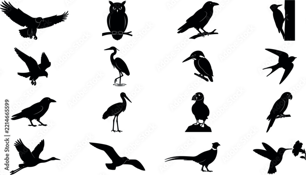 Fototapeta premium Set of various bird silhouettes
