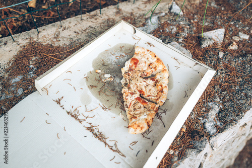 Leftover pizza in an open cardboard takeout box discarded outdoors on a dirt ground covered in pine needles and stone debris.