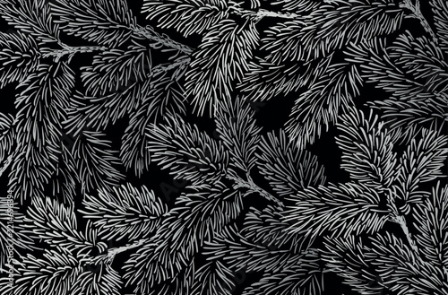 Winter vertical holidays background with pine branches and snowflakes. Winter card design.	
