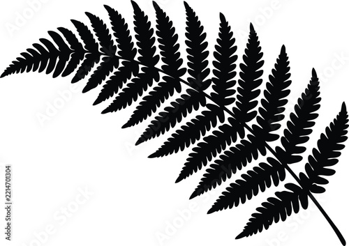 Fern leaf silhouette vector. Fern frond vector icon