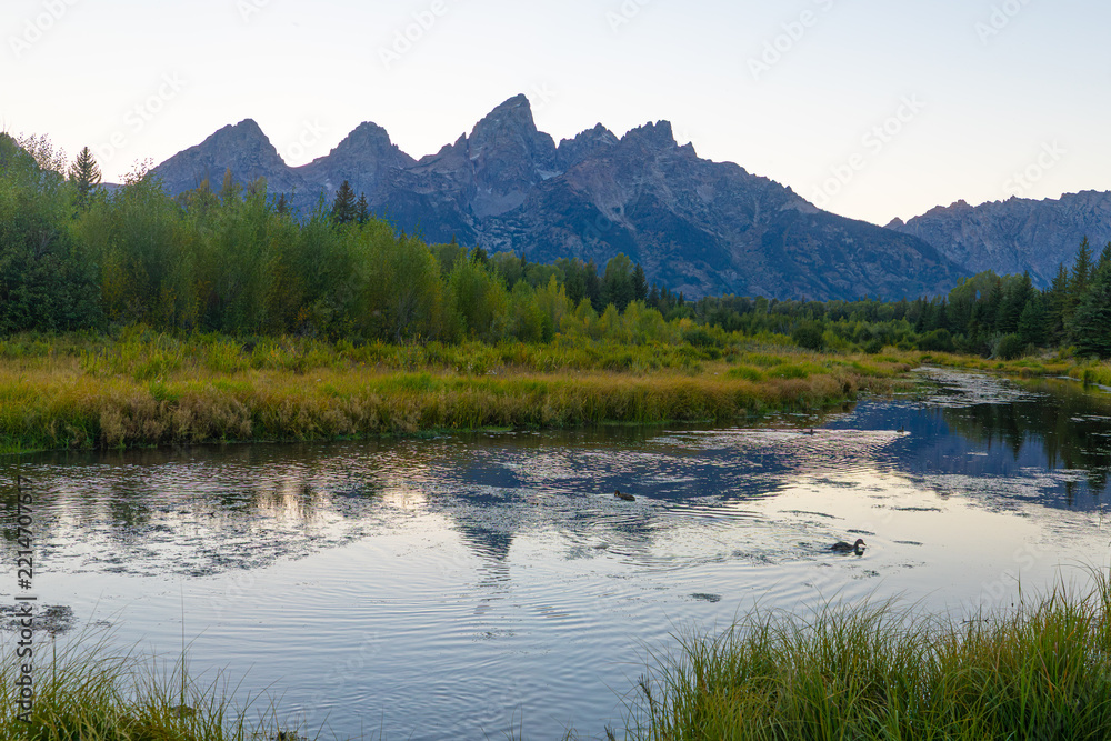 Fototapeta premium Teton Range Reflected in Peaceful Wetlands at Schwabacher Landing, Grand Teton National Park