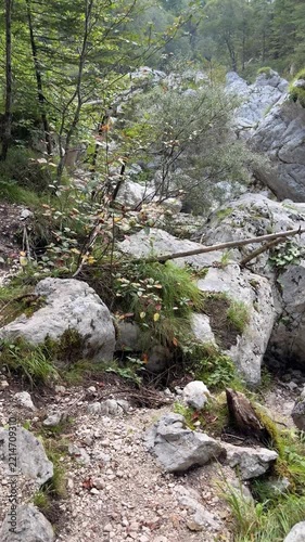 Soca river in Slovenia landscape