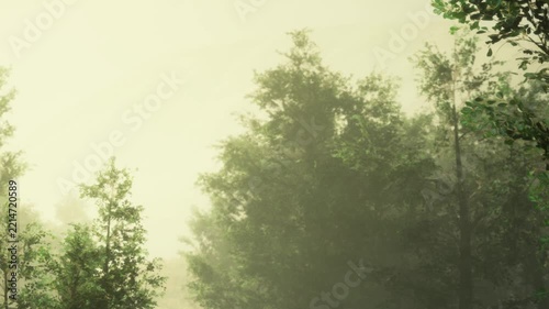 In a serene forest, soft morning fog blankets the trees, casting a mystical glow. Leaves glisten with dew as nature awakens to a peaceful start. The tranquility invites reflection and wonder.