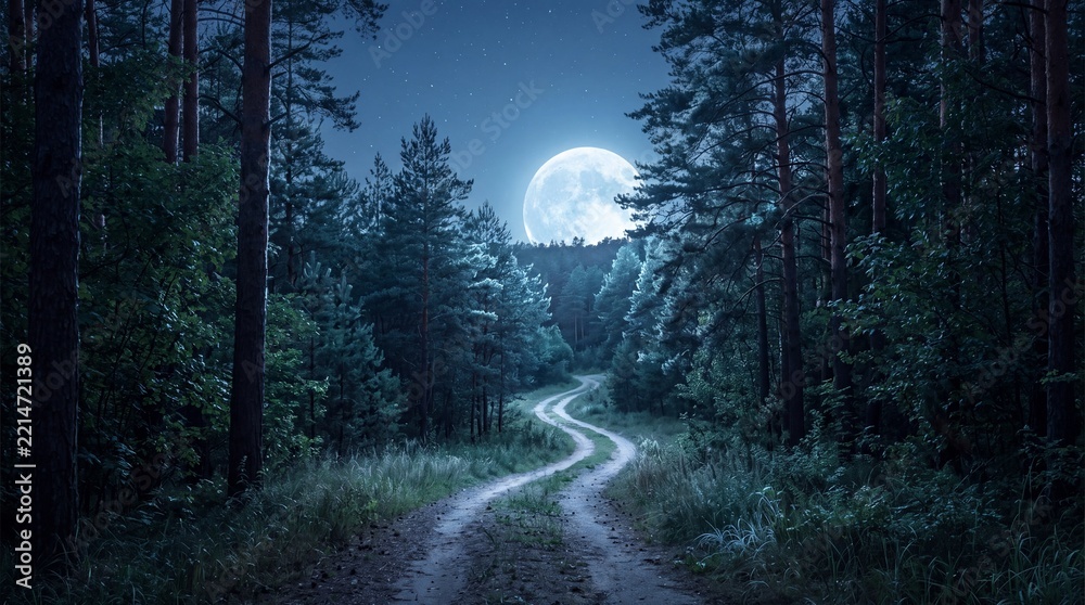 Naklejka premium A winding dirt road cuts through a dense, dark pine forest under a glowing full moonlit night sky filled with twinkling stars and cool blue moonlight.