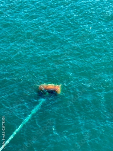 Boje zum Festmachen von Schiffen im Hafen von Argostoli, Kefalonie, Griechenland