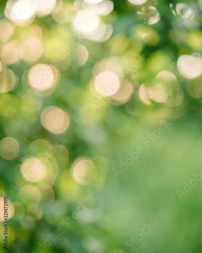 Abstract green nature background with soft light circles and blurred bokeh spots in a sunny forest