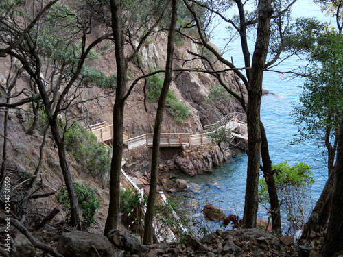 View of crystal clear turquoise sea through forest trees on Girolata trail Corsica