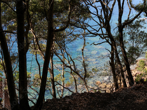 Panoramic Girolata bay with Genoese fort and anchored boats from hiking trail Corsica