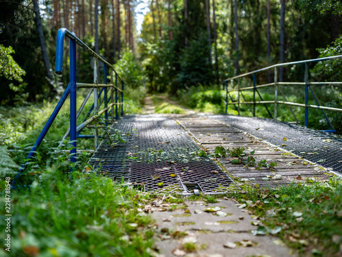 Mały metalowo drewniany mostek w lesie przez niewielką rzekę. Pora roku jesień.