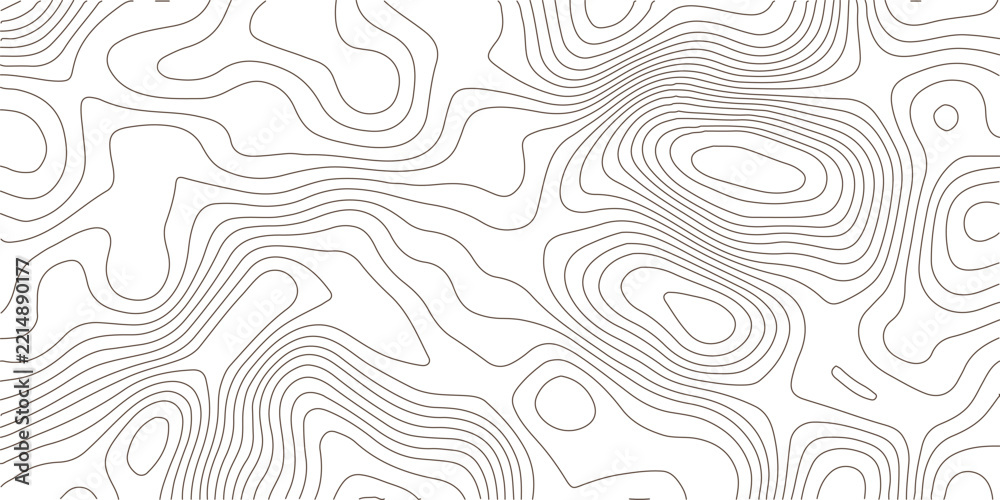 Fototapeta premium Abstract topographic map contour lines pattern background with elevation lines geometric design linear texture geography