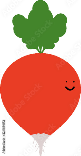 Carrot / Red radish