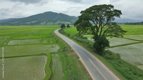 Asphalt road meandering through lush green rice fields with distant mountain range under cloudy sky