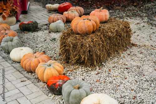 Obraz na plátně Colorful heirloom pumpkin varieties lie near a dry hay bale