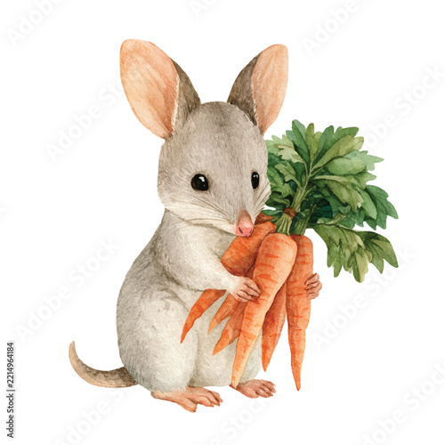Watercolor Vector Illustration Cute Bilby Holding Carrots.