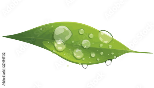 Fresh green leaf featuring multiple transparent water droplets resting delicately on its curved surface.