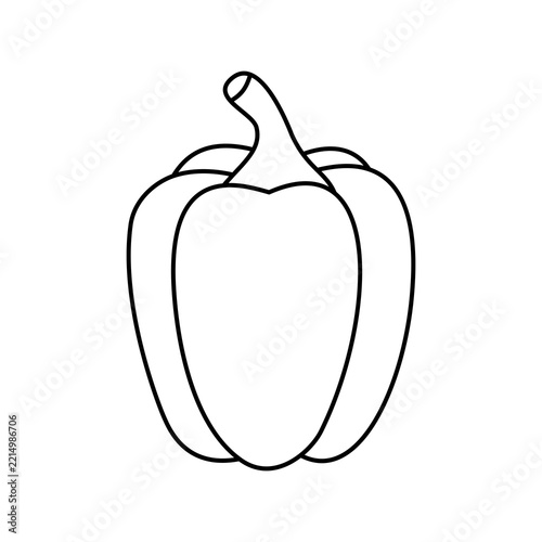 Bell pepper outline vector illustration 