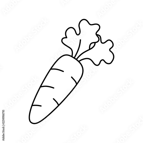 Carrot outline vector illustration 