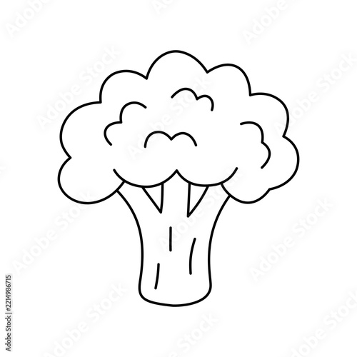 Broccoli outline vector illustration 