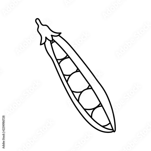 Pea outline vector illustration 