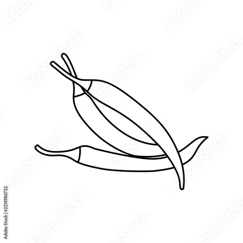 Chilli outline vector illustration 