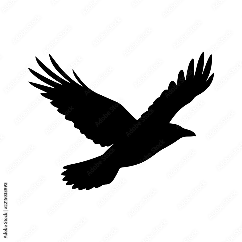 Obraz premium Black raven silhouette flying with wings spread wide