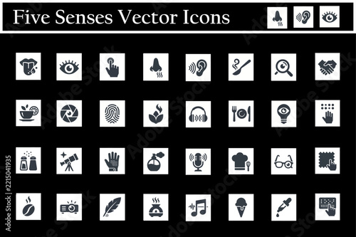 A comprehensive collection of black and white vector icons representing the five human senses including sight hearing touch and taste