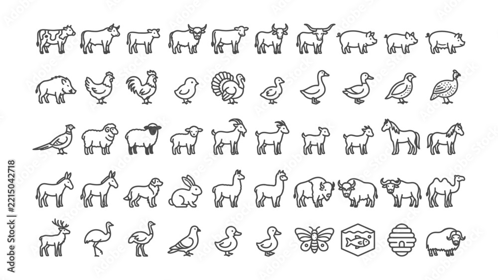 Fototapeta premium Farm Animal Icon Set: A collection of simple line icons depicting various farm animals and other common rural symbols, presented in a grid format.